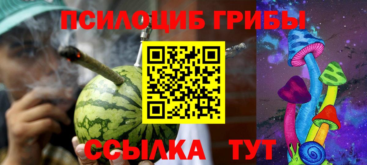 Псилоцибиновые грибы прущие грибы Нижнеудинск