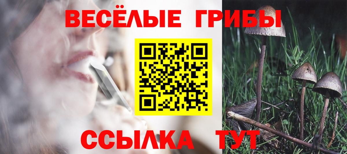 Нижнеудинск  Галлюциногенные грибы MAGIC MUSHROOMS  Галлюциногенные грибы Cubensis  Вход с VPN 