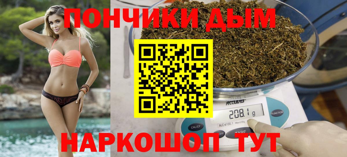 Шишки марихуана тримм Нижнеудинск
